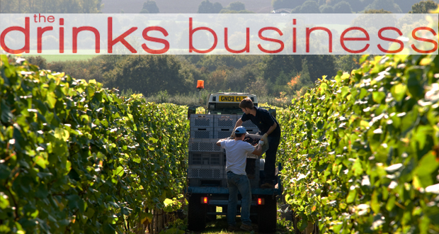 The Drinks Business Pinot Noir Master: 3 Bronze Medals
